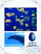 京都人妻デリヘル倶楽部