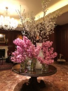 京都人妻デリヘル倶楽部