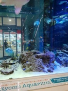 京都人妻デリヘル倶楽部