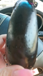 京都人妻デリヘル倶楽部