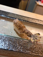 京都人妻デリヘル倶楽部