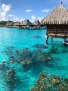 京都人妻デリヘル倶楽部