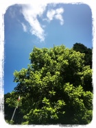 京都人妻デリヘル倶楽部