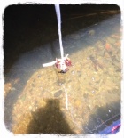 京都人妻デリヘル倶楽部