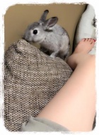 京都人妻デリヘル倶楽部