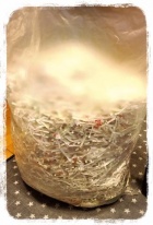 京都人妻デリヘル倶楽部