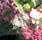 京都人妻デリヘル倶楽部