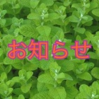 京都人妻デリヘル倶楽部