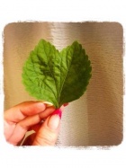 京都人妻デリヘル倶楽部