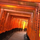 京都人妻デリヘル倶楽部