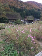 京都人妻デリヘル倶楽部