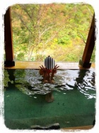 京都人妻デリヘル倶楽部