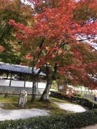 京都人妻デリヘル倶楽部