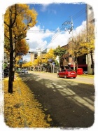 京都人妻デリヘル倶楽部