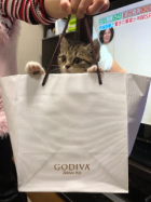 京都人妻デリヘル倶楽部