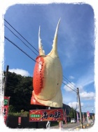 京都人妻デリヘル倶楽部