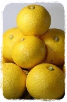 京都人妻デリヘル倶楽部