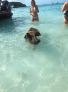 京都人妻デリヘル倶楽部