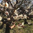 京都人妻デリヘル倶楽部
