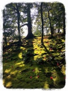 京都人妻デリヘル倶楽部