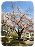 京都人妻デリヘル倶楽部