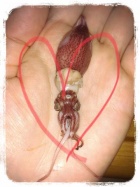 京都人妻デリヘル倶楽部