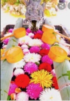 京都痴女性感フェチ倶楽部