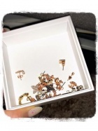 京都人妻デリヘル倶楽部