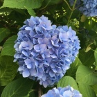 京都人妻デリヘル倶楽部