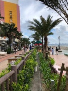 京都人妻デリヘル倶楽部