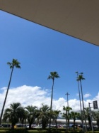 京都人妻デリヘル倶楽部