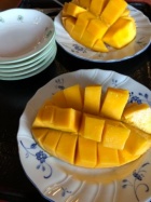 京都人妻デリヘル倶楽部