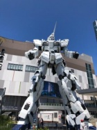 京都人妻デリヘル倶楽部