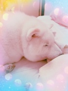 京都人妻デリヘル倶楽部