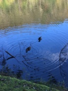 京都人妻デリヘル倶楽部