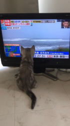 京都人妻デリヘル倶楽部