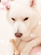 京都人妻デリヘル倶楽部