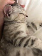 京都人妻デリヘル倶楽部