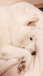 京都人妻デリヘル倶楽部