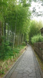 京都人妻デリヘル倶楽部