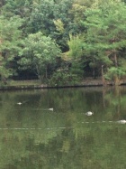 京都人妻デリヘル倶楽部