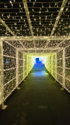 京都人妻デリヘル倶楽部