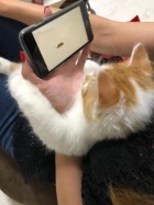 京都人妻デリヘル倶楽部