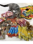 京都人妻デリヘル倶楽部