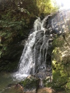 京都人妻デリヘル倶楽部