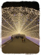 京都人妻デリヘル倶楽部