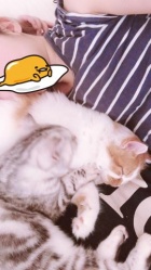 京都人妻デリヘル倶楽部