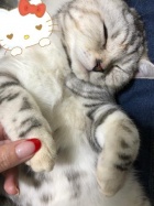 京都人妻デリヘル倶楽部