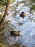 京都人妻デリヘル倶楽部