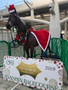 京都人妻デリヘル倶楽部